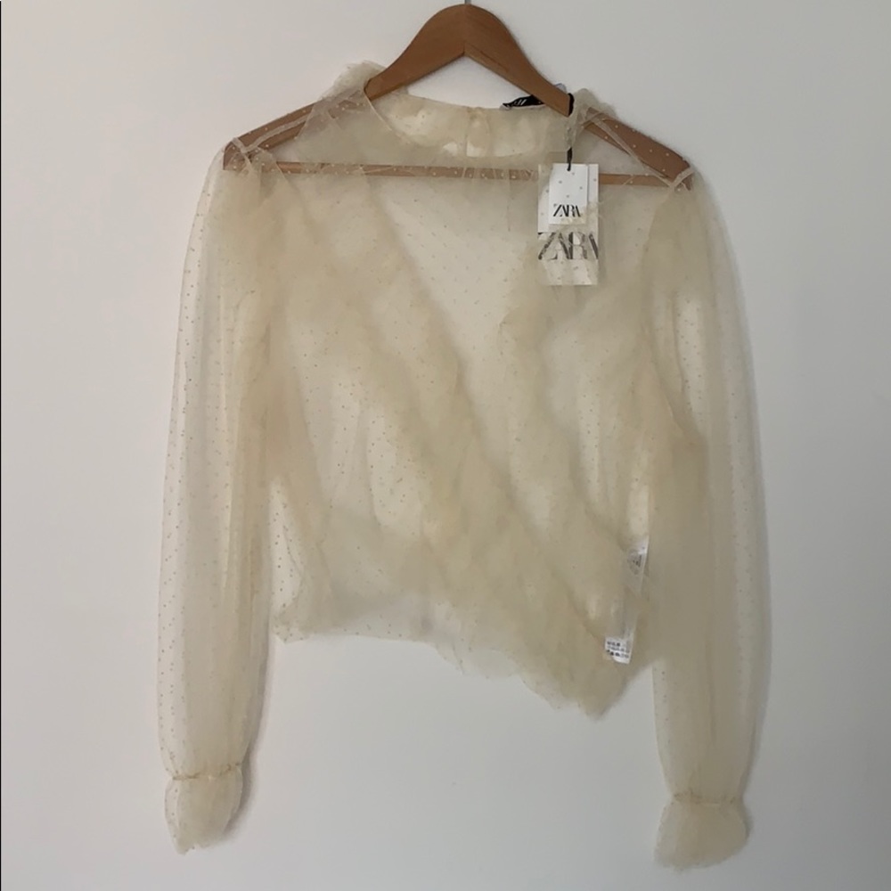 Zara New with tags sheer shirt